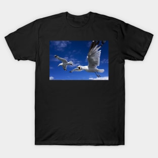 Conversations a with Seagull T-Shirt